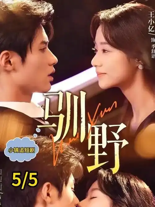 第七个证人悬疑推理剧集在线播放